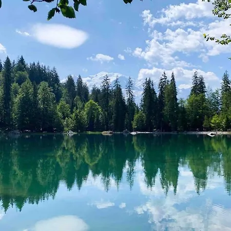 Chinook,la Praz,chamonix Mont Blanc Apartment *