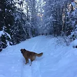 Chinook,la Praz,chamonix Mont Blanc Chamonix