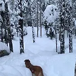 Chinook,la Praz,chamonix Mont Blanc Appartement