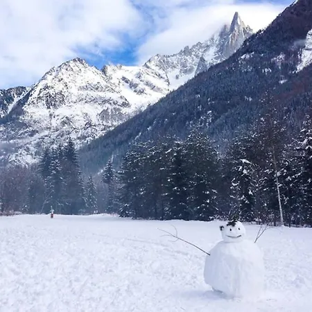 Chinook,la Praz,chamonix Mont Blanc シャモニー