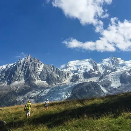 Chinook,la Praz,chamonix Mont Blanc * シャモニー