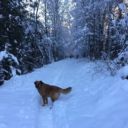 Chinook,la Praz,chamonix Mont Blanc שאמוני