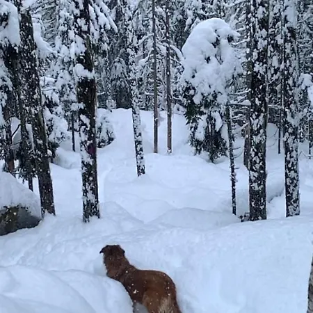 Chinook,la Praz,chamonix Mont Blanc アパート