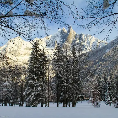 Chinook,la Praz,chamonix Mont Blanc * シャモニー